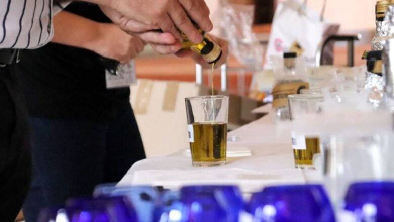Casa de San Martín: una mañana para descubrir el aceite de oliva y el vermut