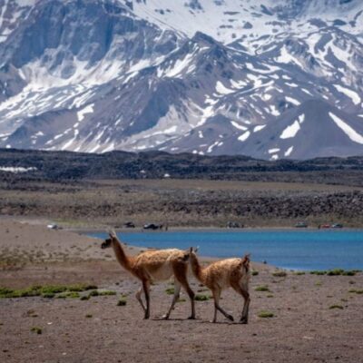 El Correo Argentino presentó la nueva emisión y la Laguna del Diamante es una postal