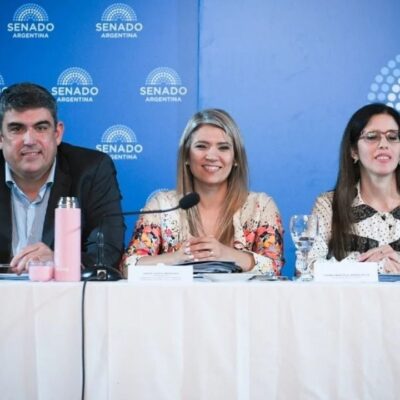 Salud pide al Senado avalar las internaciones involuntarias y priorizar el criterio médico