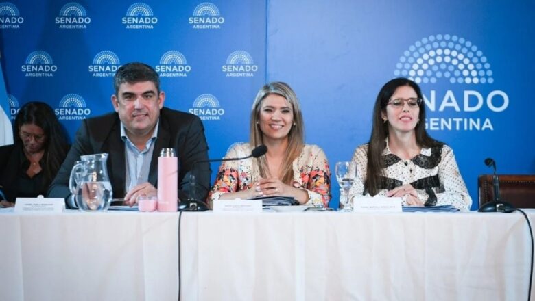 Salud pide al Senado avalar las internaciones involuntarias y priorizar el criterio médico